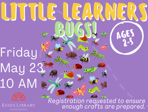 Little Learners: Bug